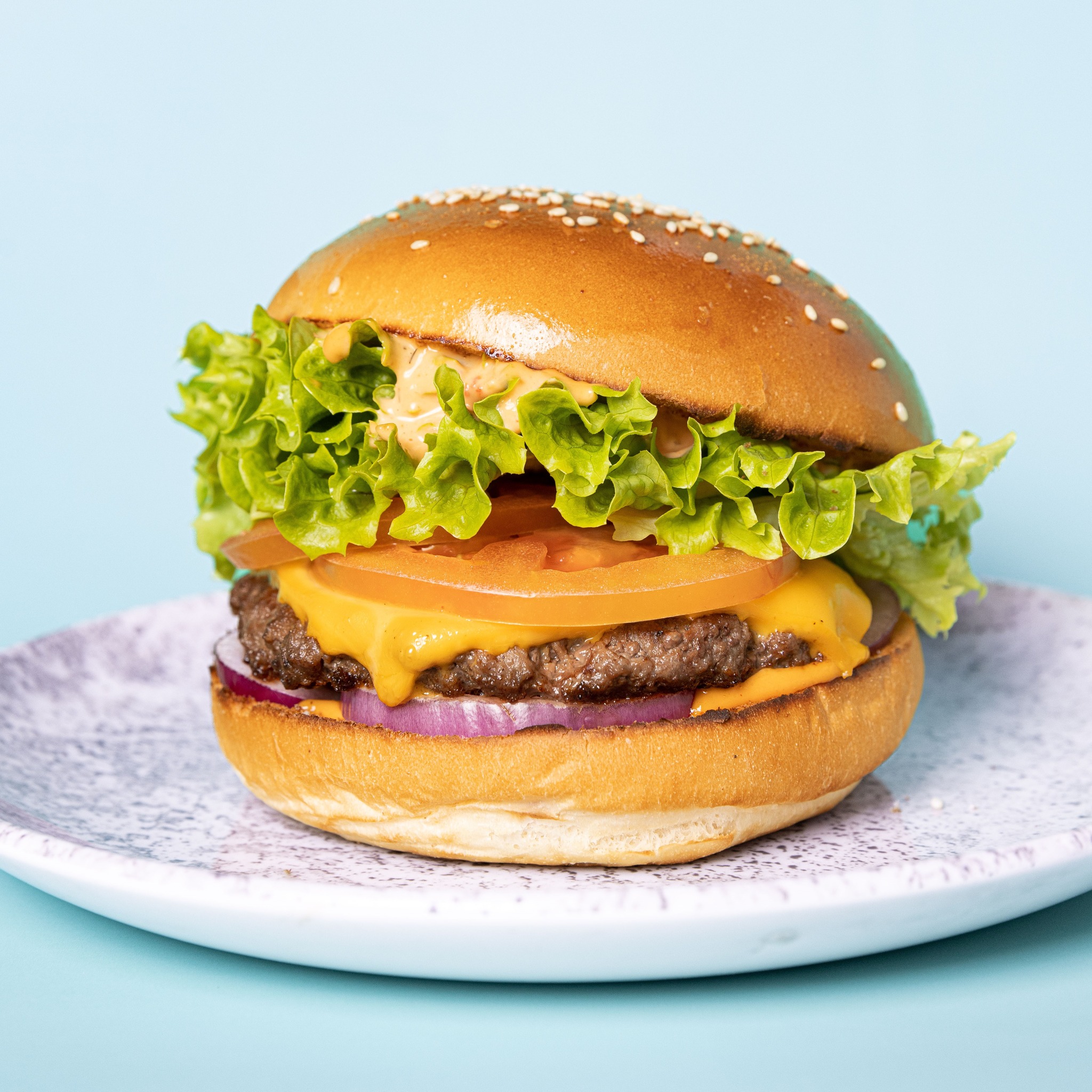 The Fish & Burger Co.