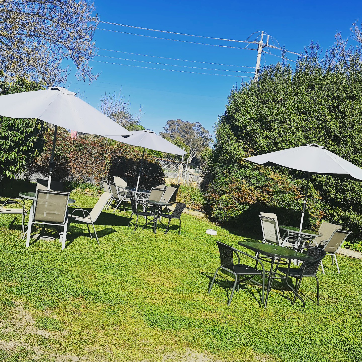 Araminta's Tea Room