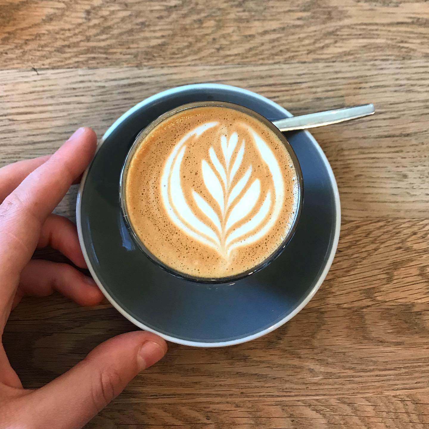 Wild Timor Coffee Coburg