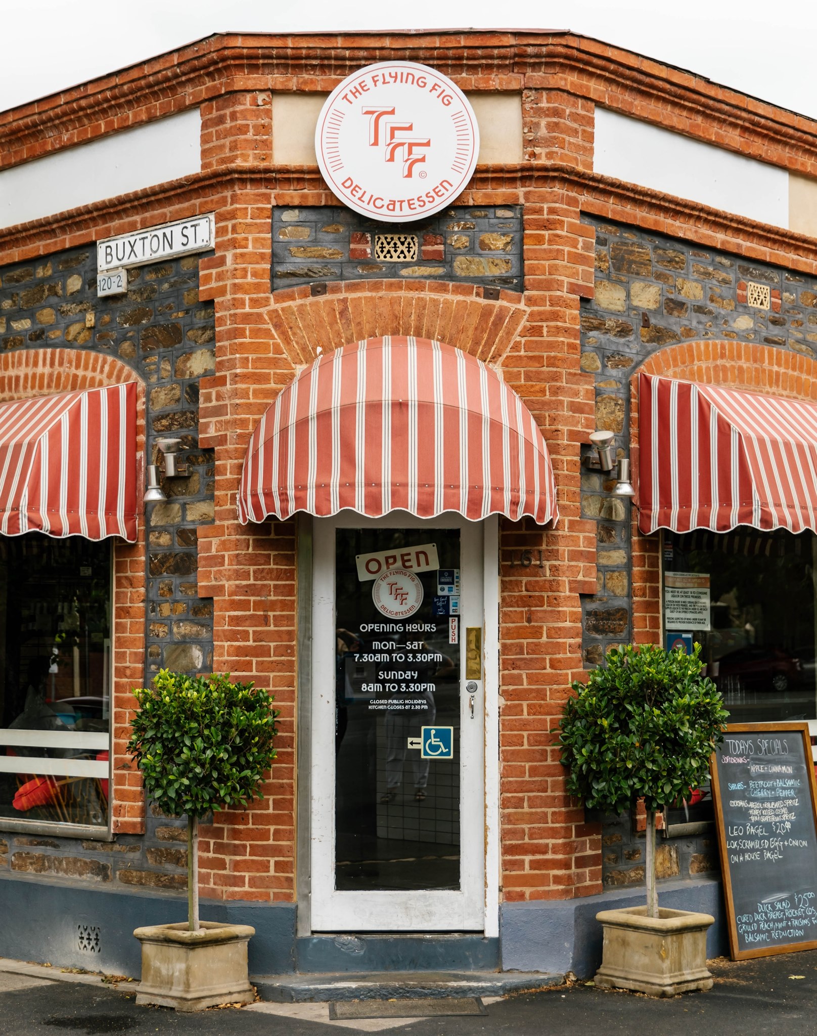 The Flying Fig