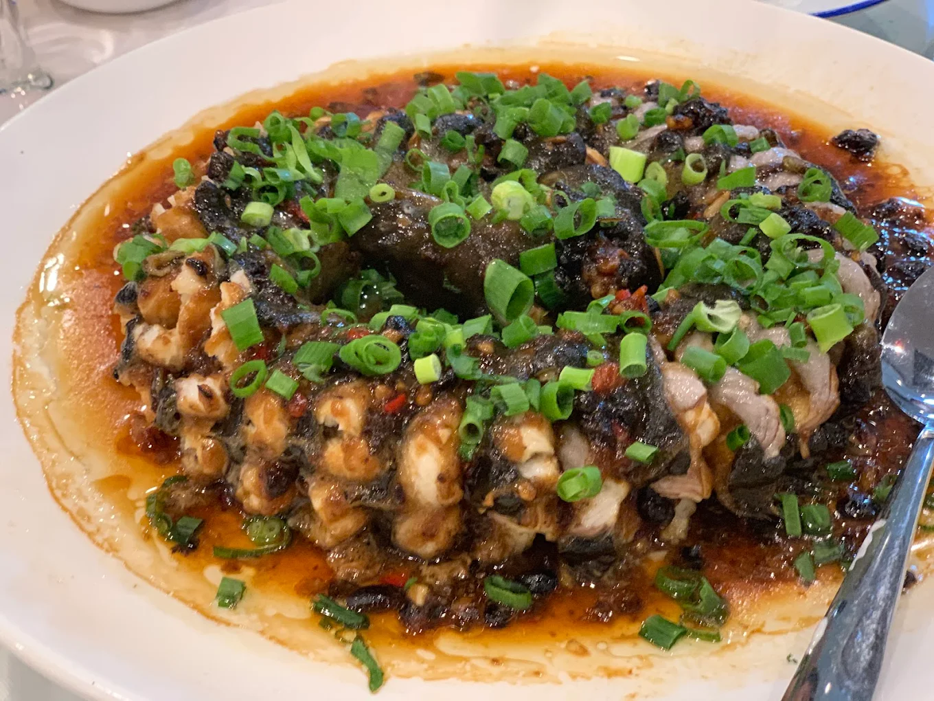 Taste of Shunde 順德味道 Hurstville