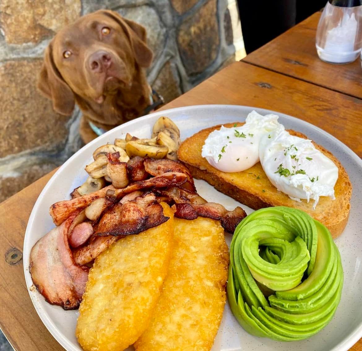 Flourish Cafe Olivers Hill