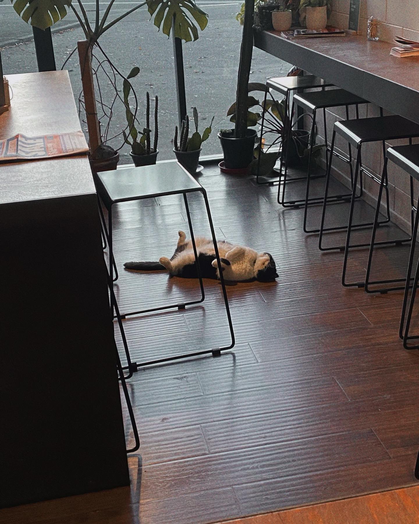 Coffee Embassy Roastery & Cellar Door