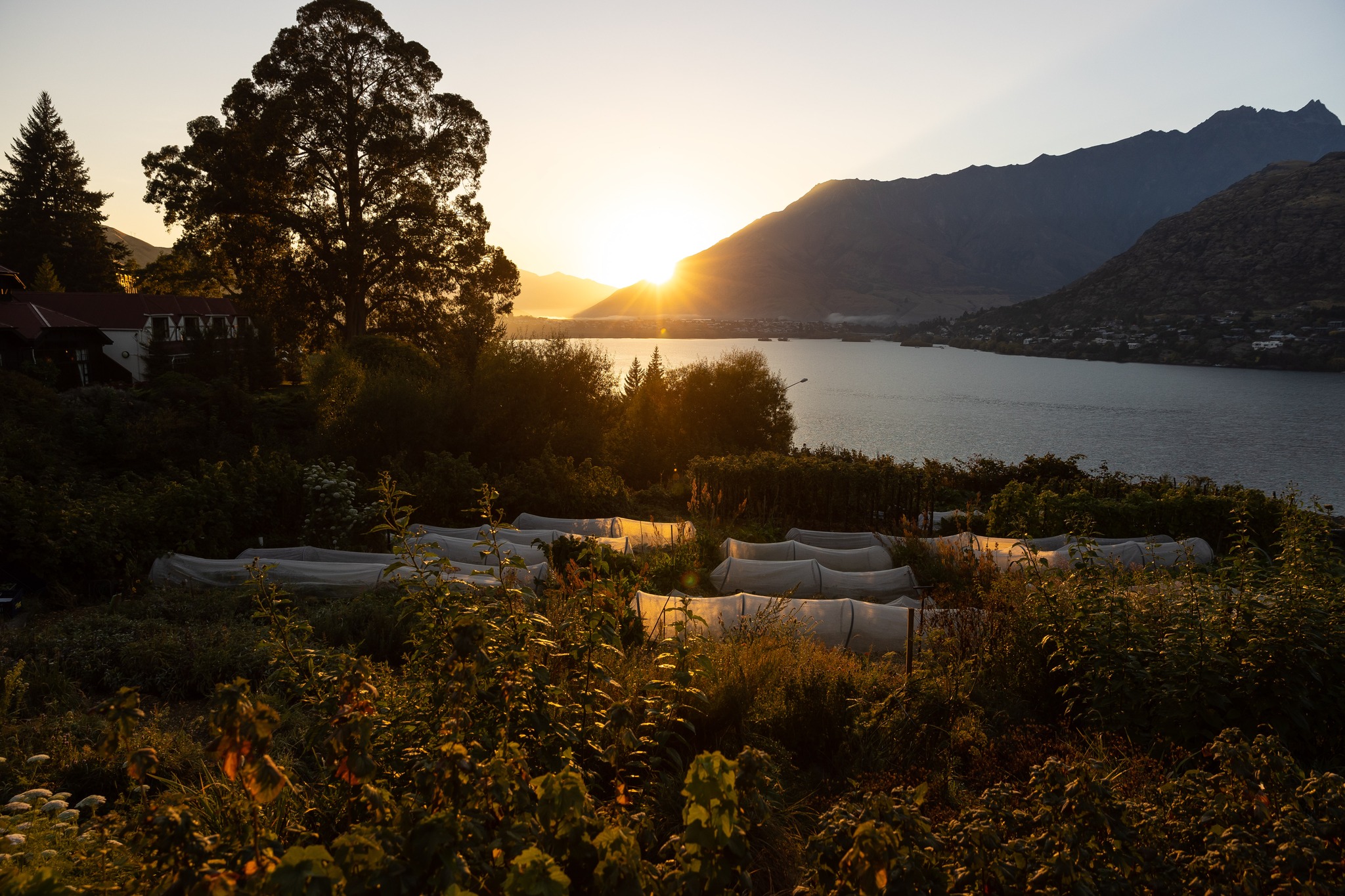 Sherwood Queenstown