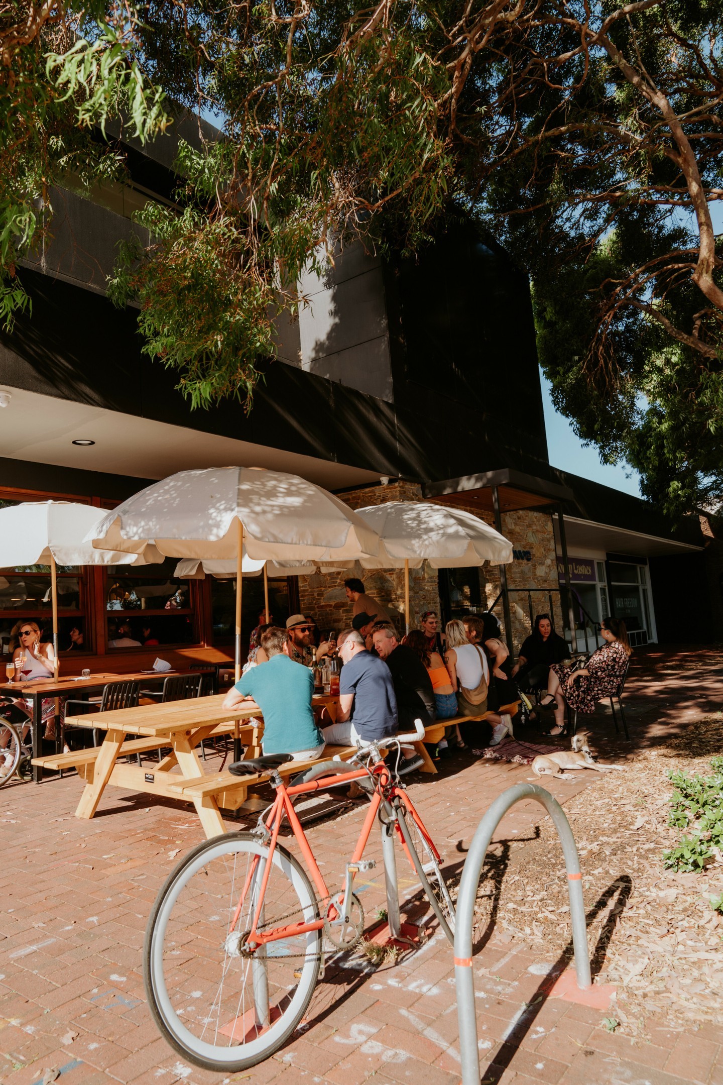 The Most Recommended Pubs & Bars You Need to Try in Perth