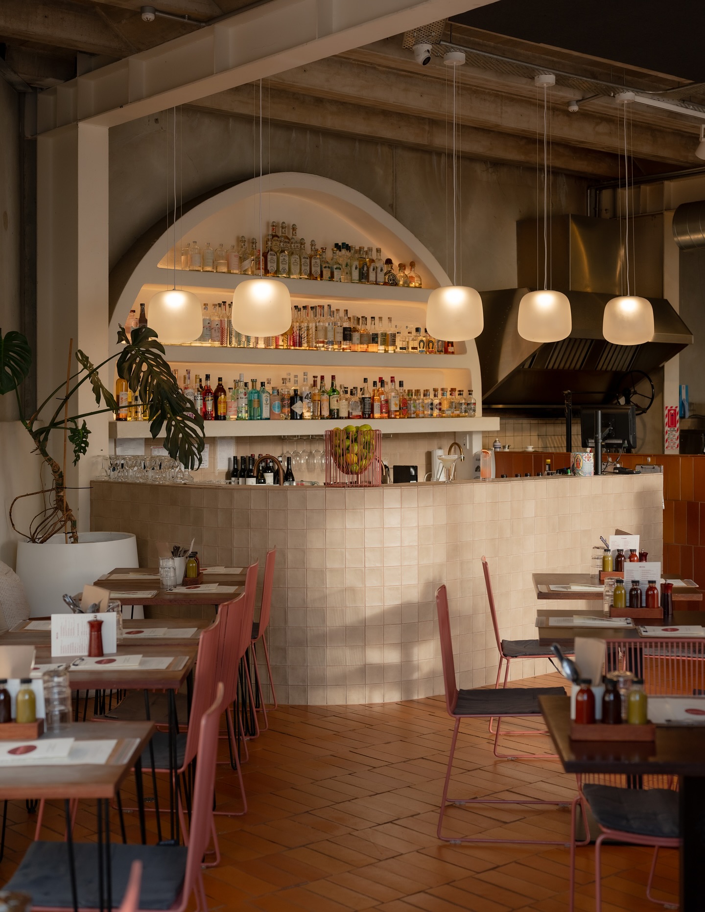 Paloma Taqueria
