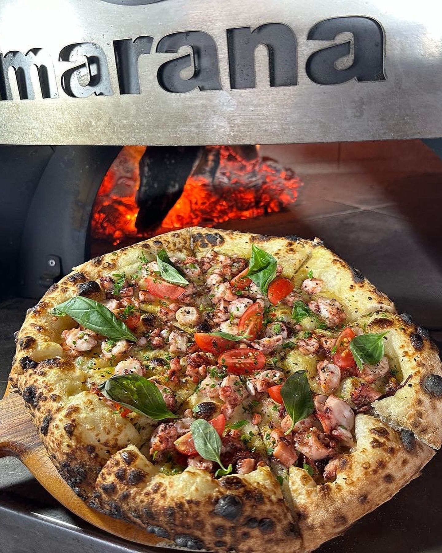 Fired Up Pizza
