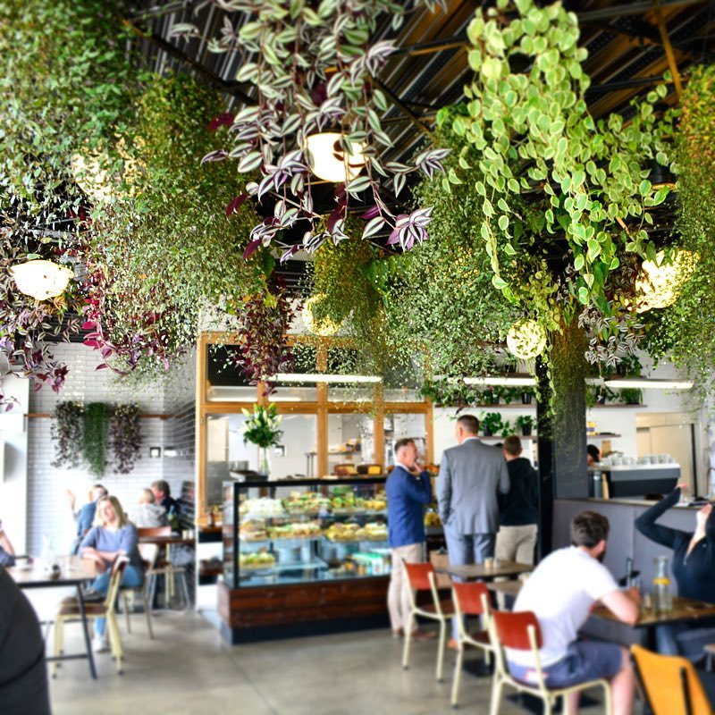 Unknown Chapter Coffee Roasters