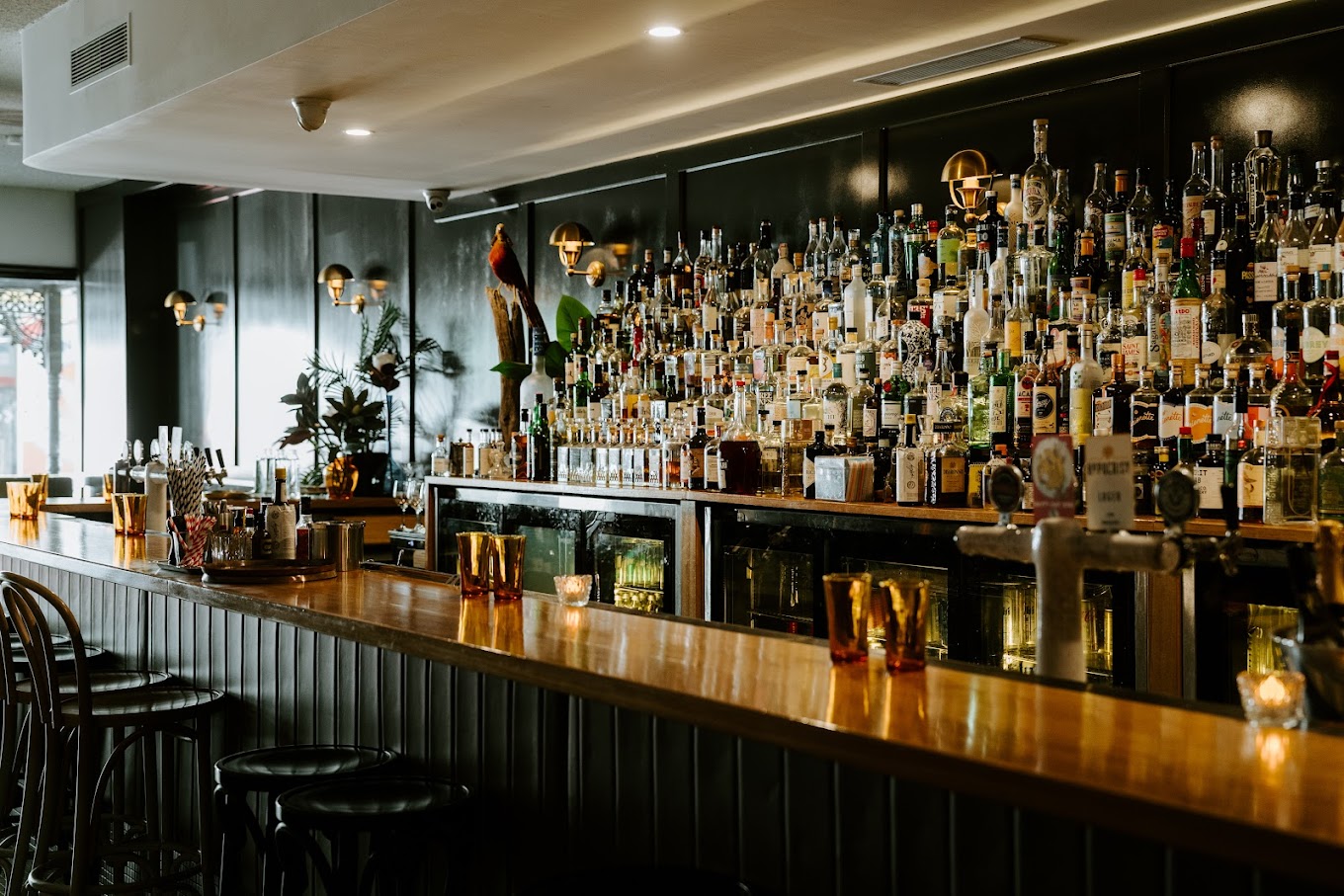Bouvier Bar