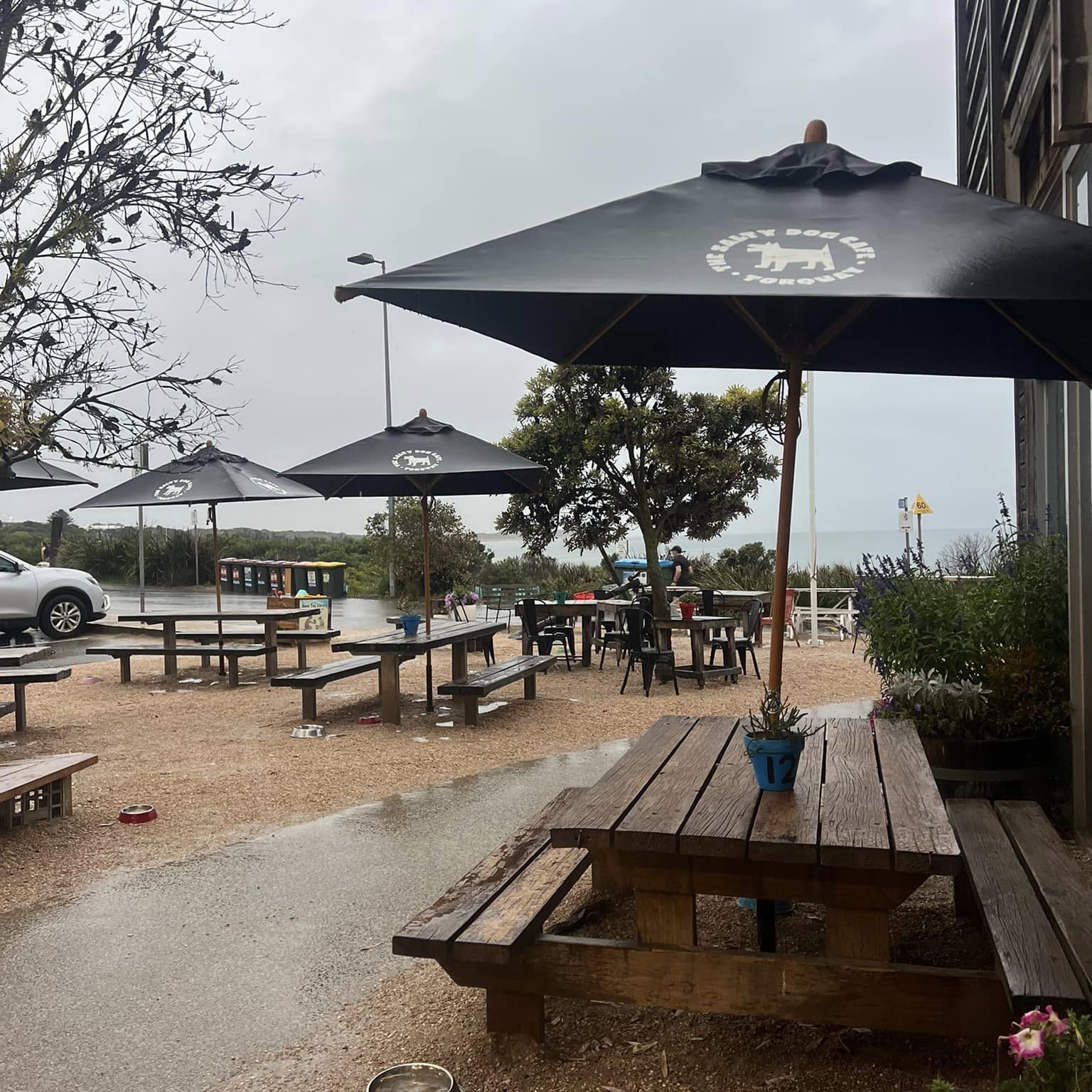 The Salty Dog Cafe