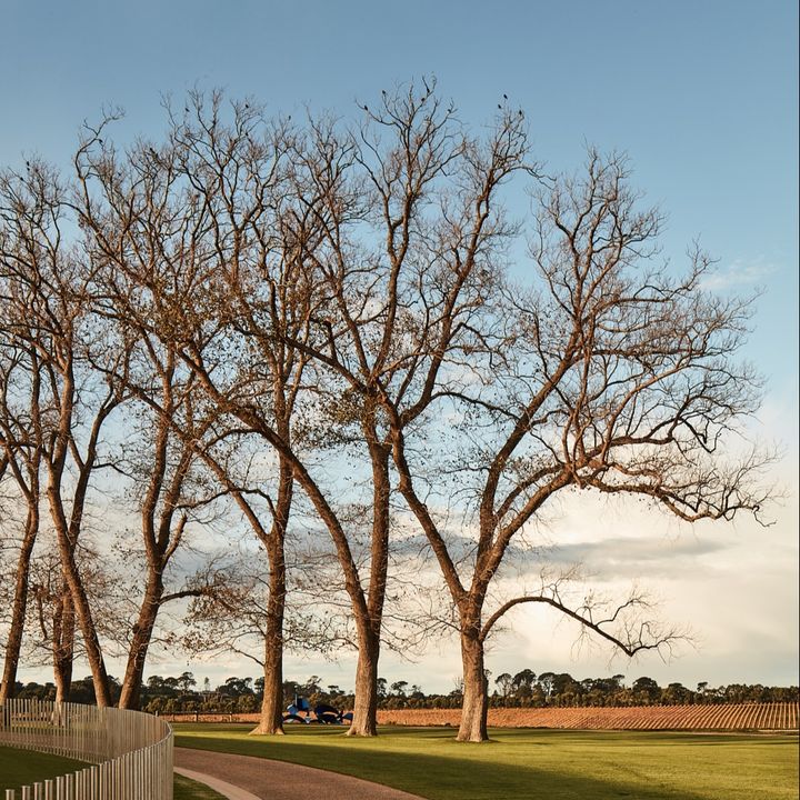 Pt. Leo Estate