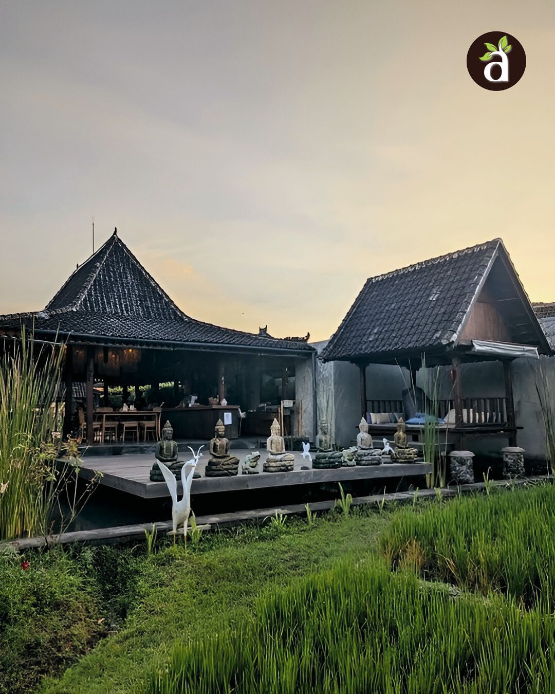 Anandinii Organic Garden & Kitchen