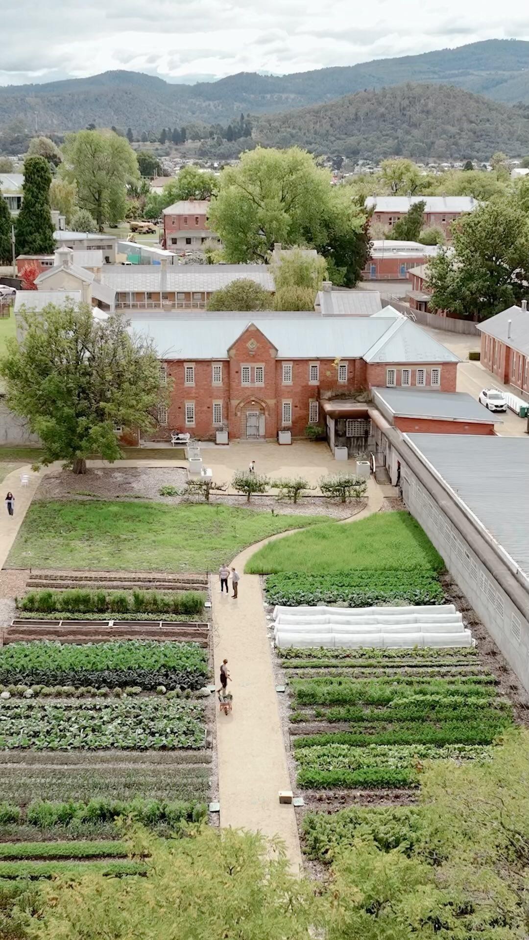 The Agrarian Kitchen