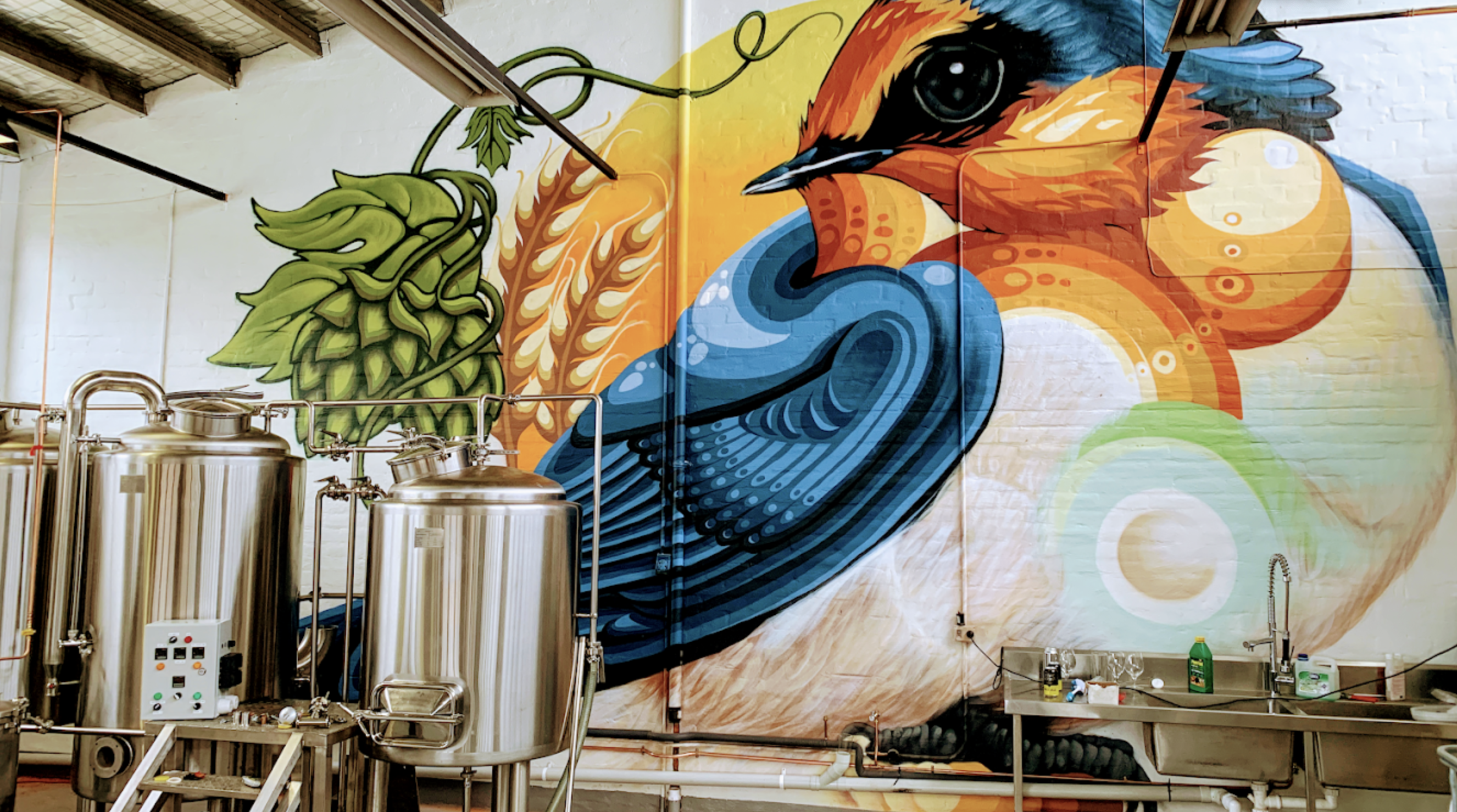 Welcome Swallow Brewery