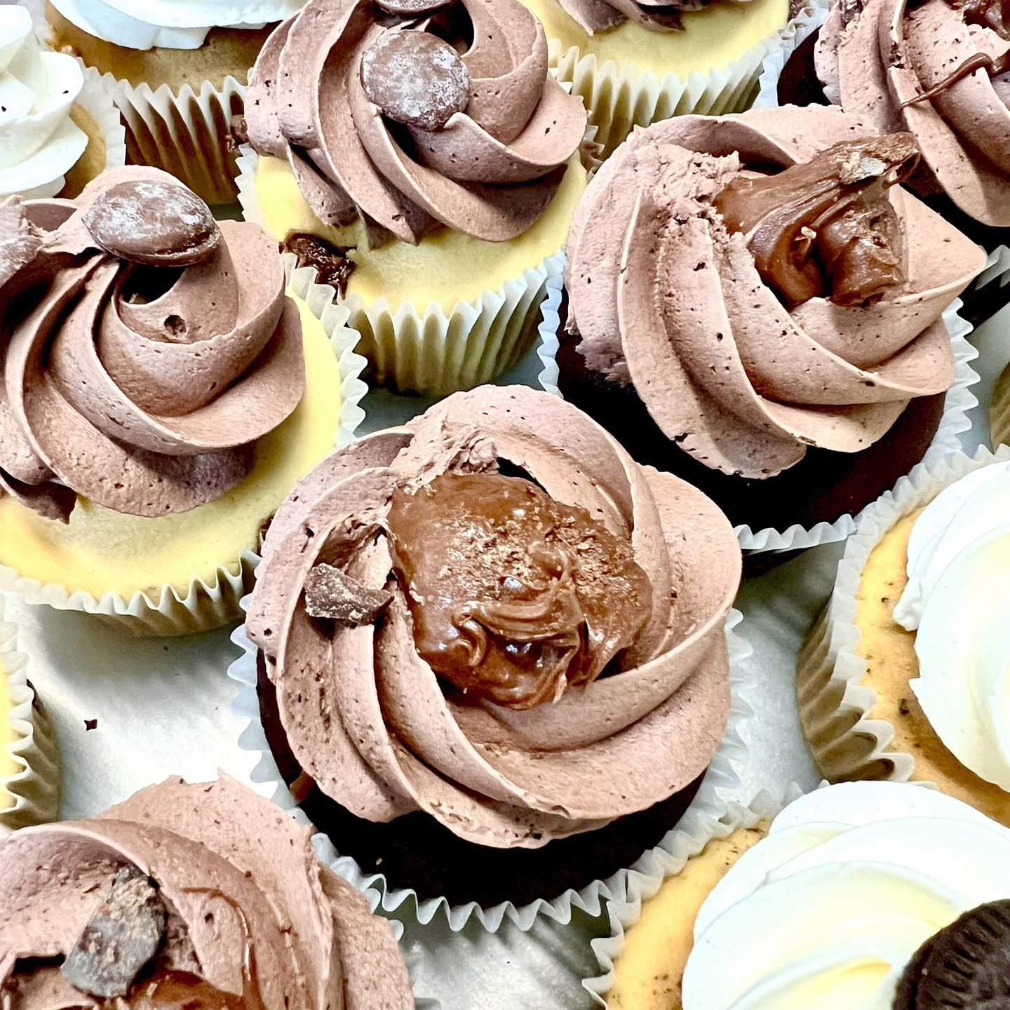 The Cupcake Parlour