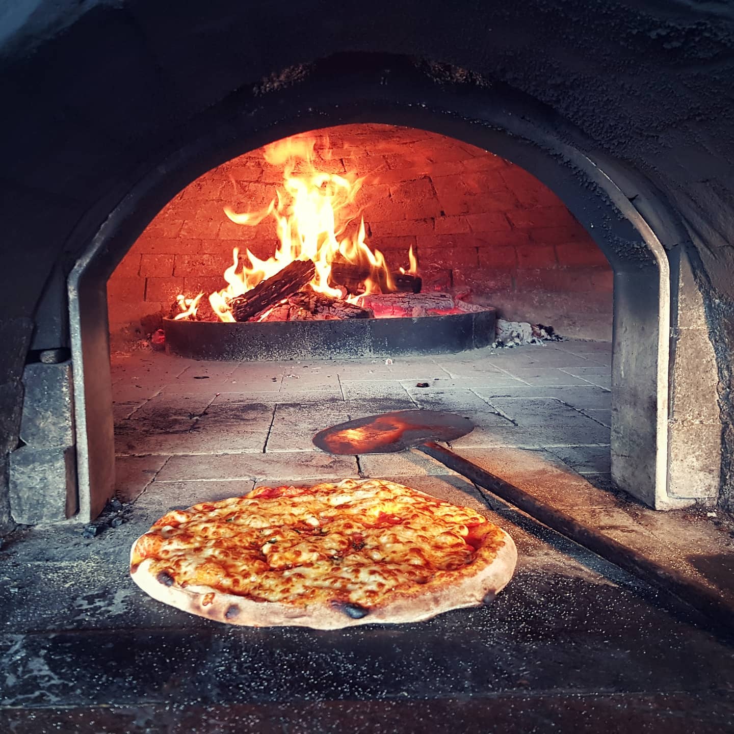 Pizza Lioni