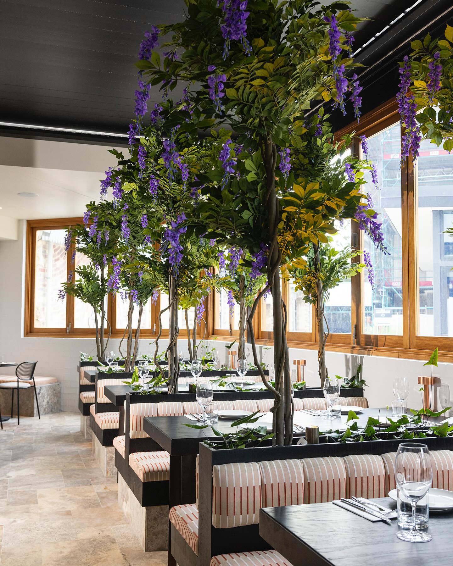 Cassia Fremantle