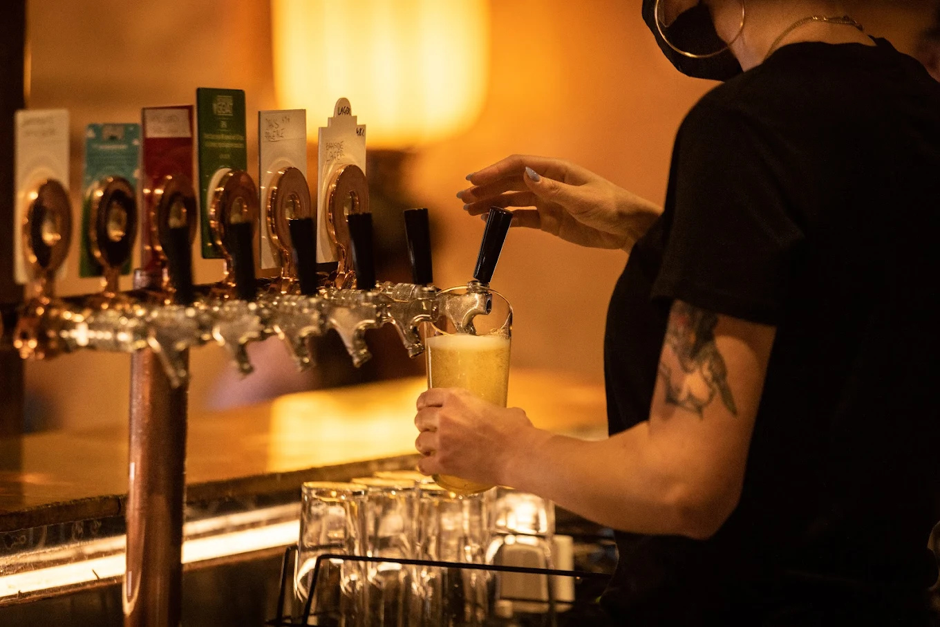 Dogs Bar