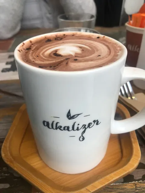 Alkalizer