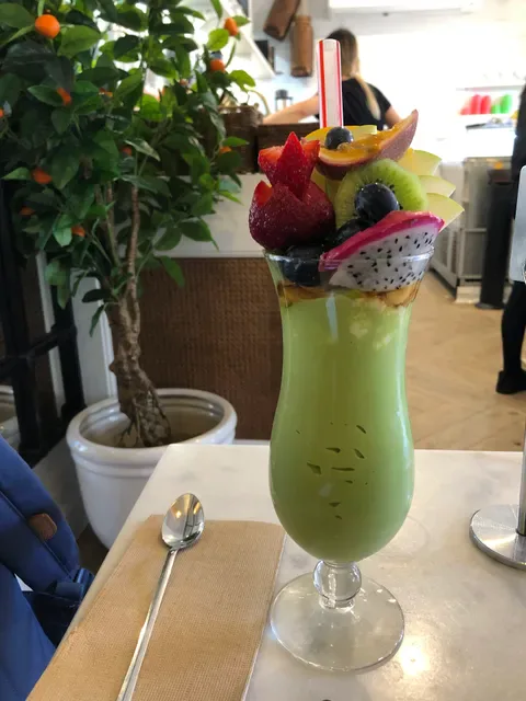 AVOCADO LOUNGE