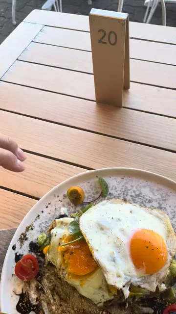 AVOCADO LOUNGE