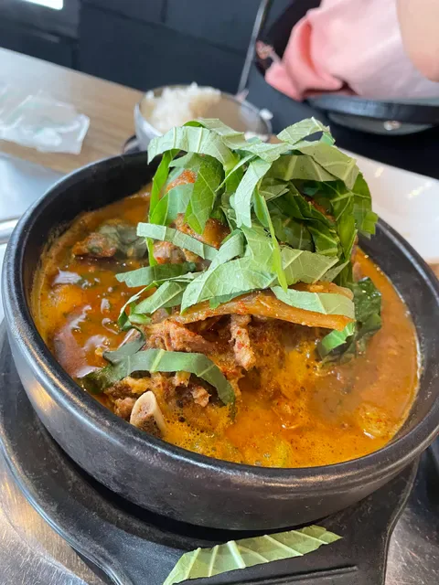 Basak & Jogumja Lidcombe