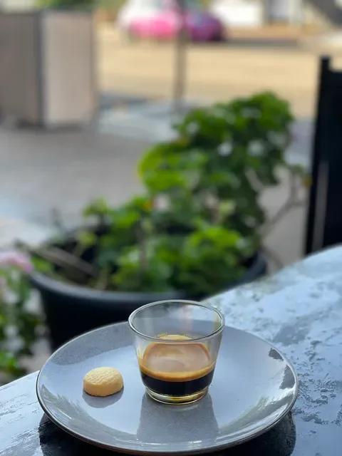 Black Duck Espresso Cafe
