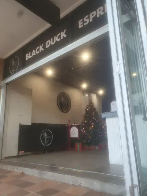 Black Duck Espresso Cafe