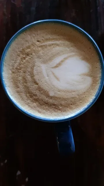 Café 31