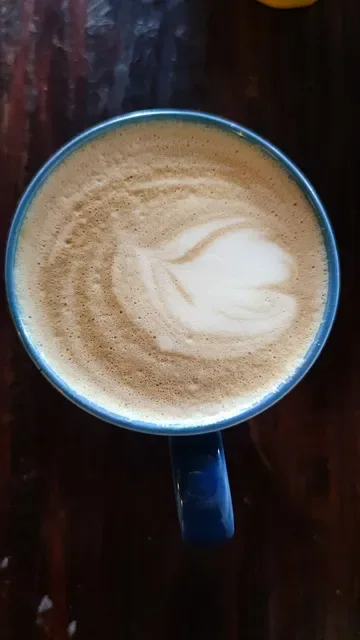 Café 31