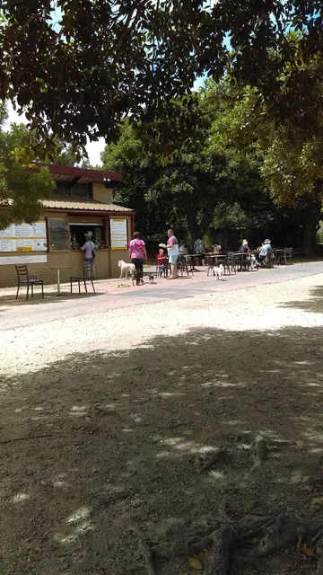 Cafe Bones