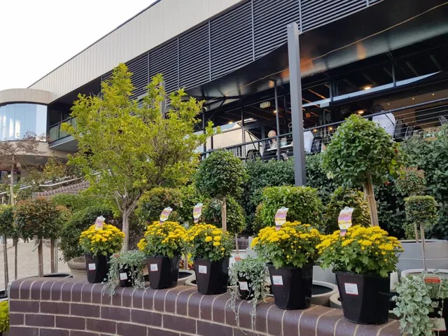Cafe Harvest
