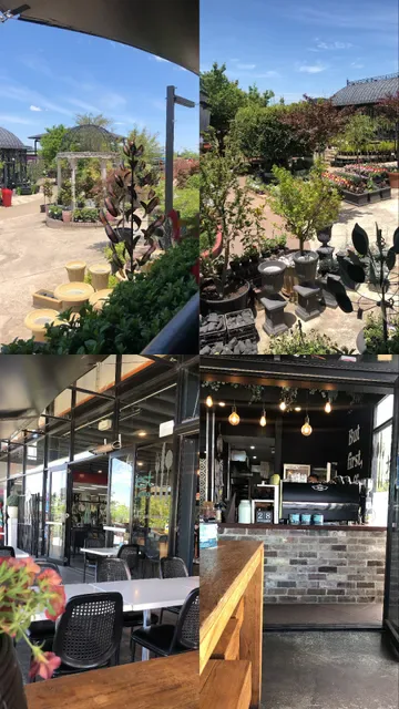 Cafe Harvest