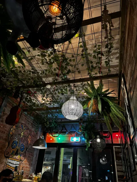 Cantina Bar Balmain