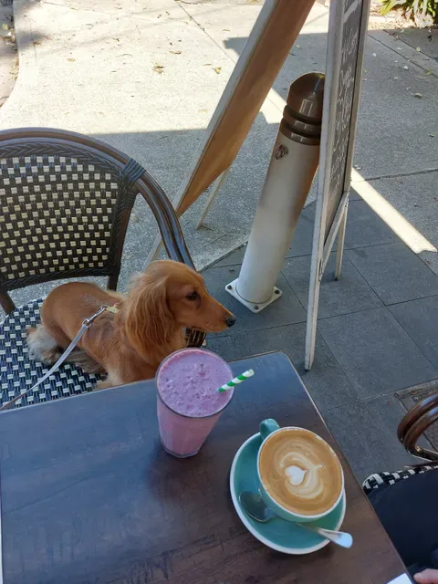 Clover Cafe Annandale