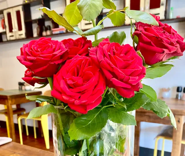 Clover Cafe Annandale
