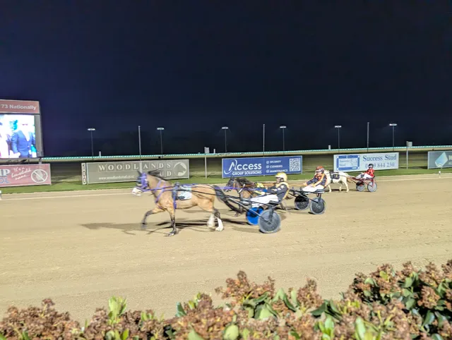 Club Menangle Trackside