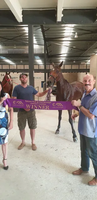 Club Menangle Trackside