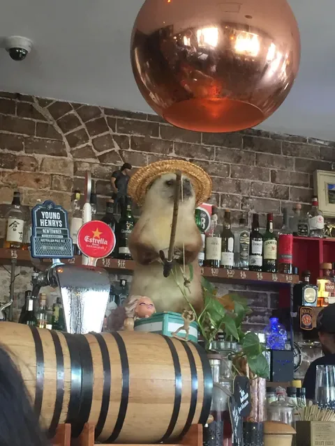 Corner Bar Rozelle
