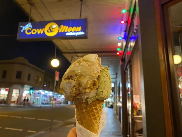 Cow & The Moon