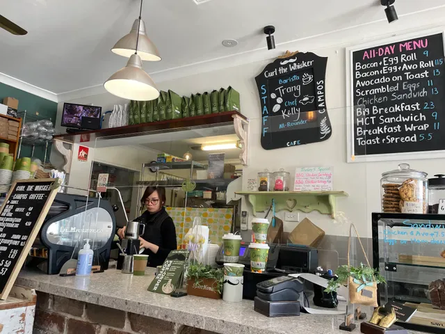 Curl the Whisker Cafe