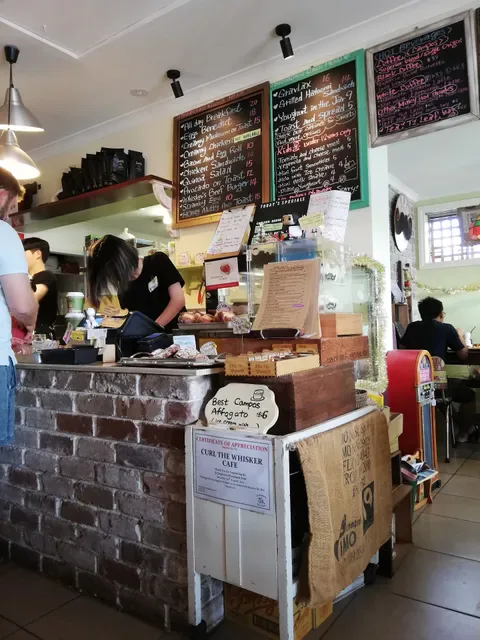Curl the Whisker Cafe
