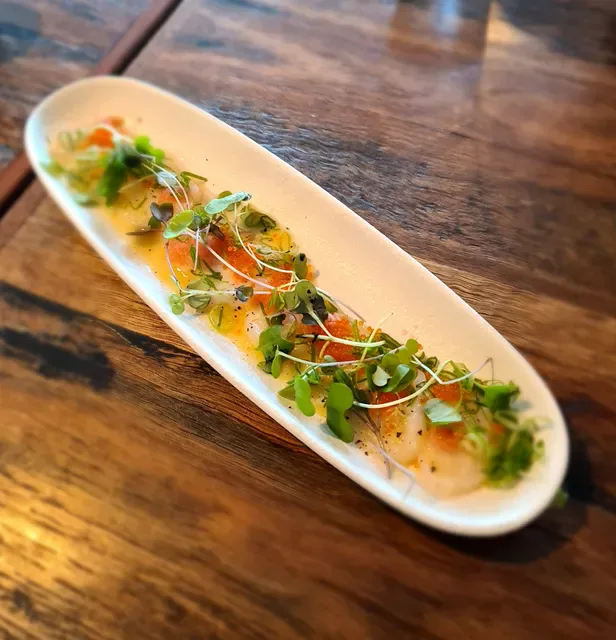 Deck 23 Japanese