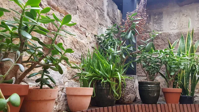 DiCK's Hotel Balmain