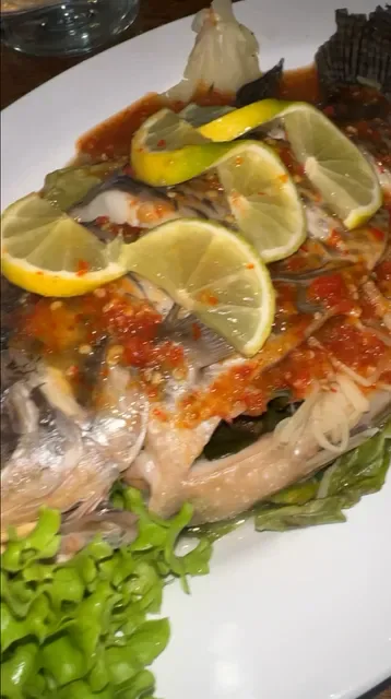 Dodee Paidang Haymarket