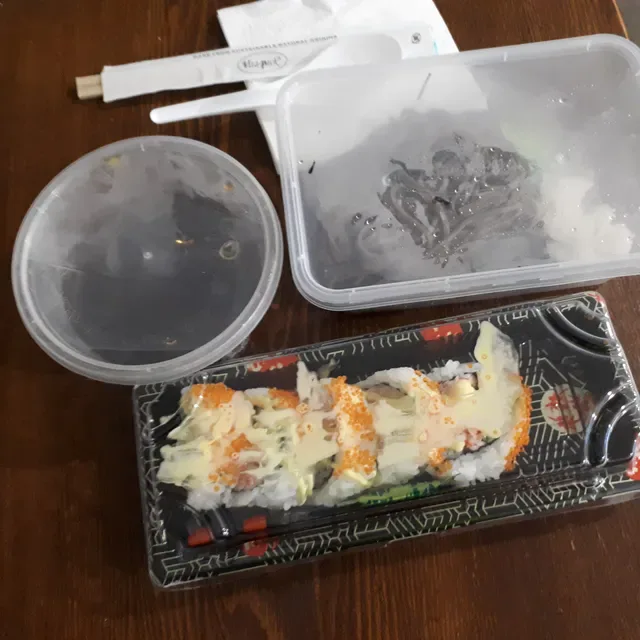 Dotori Fresh Sushi & Roll Lidcombe