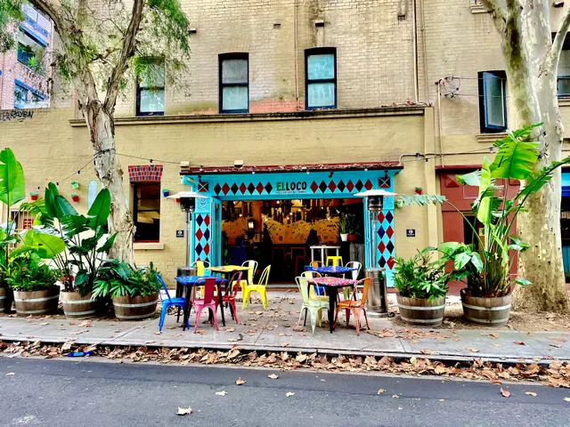 El Loco at Excelsior