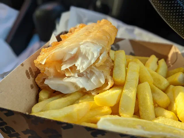 Fat Fish