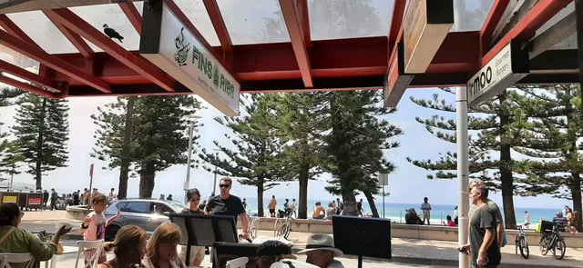 Fins & Ribs Manly
