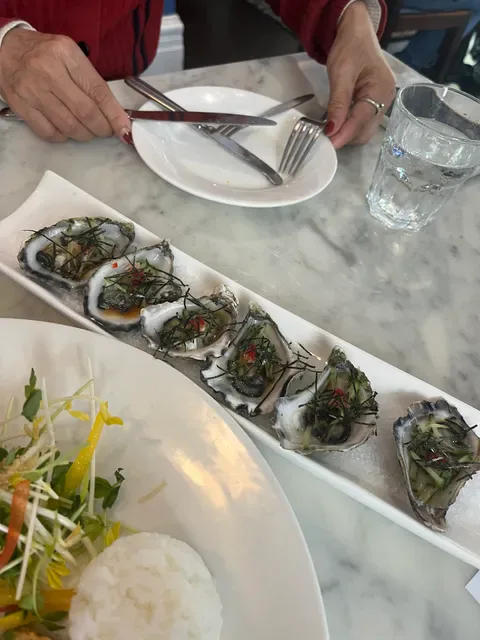 Fish at The Rocks